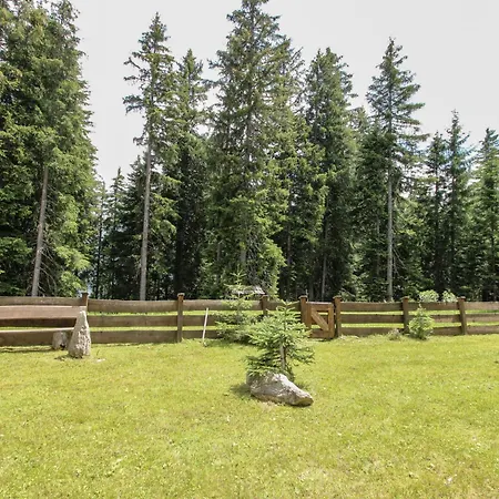 Hochkrimml By Interhome * Nothdorf
